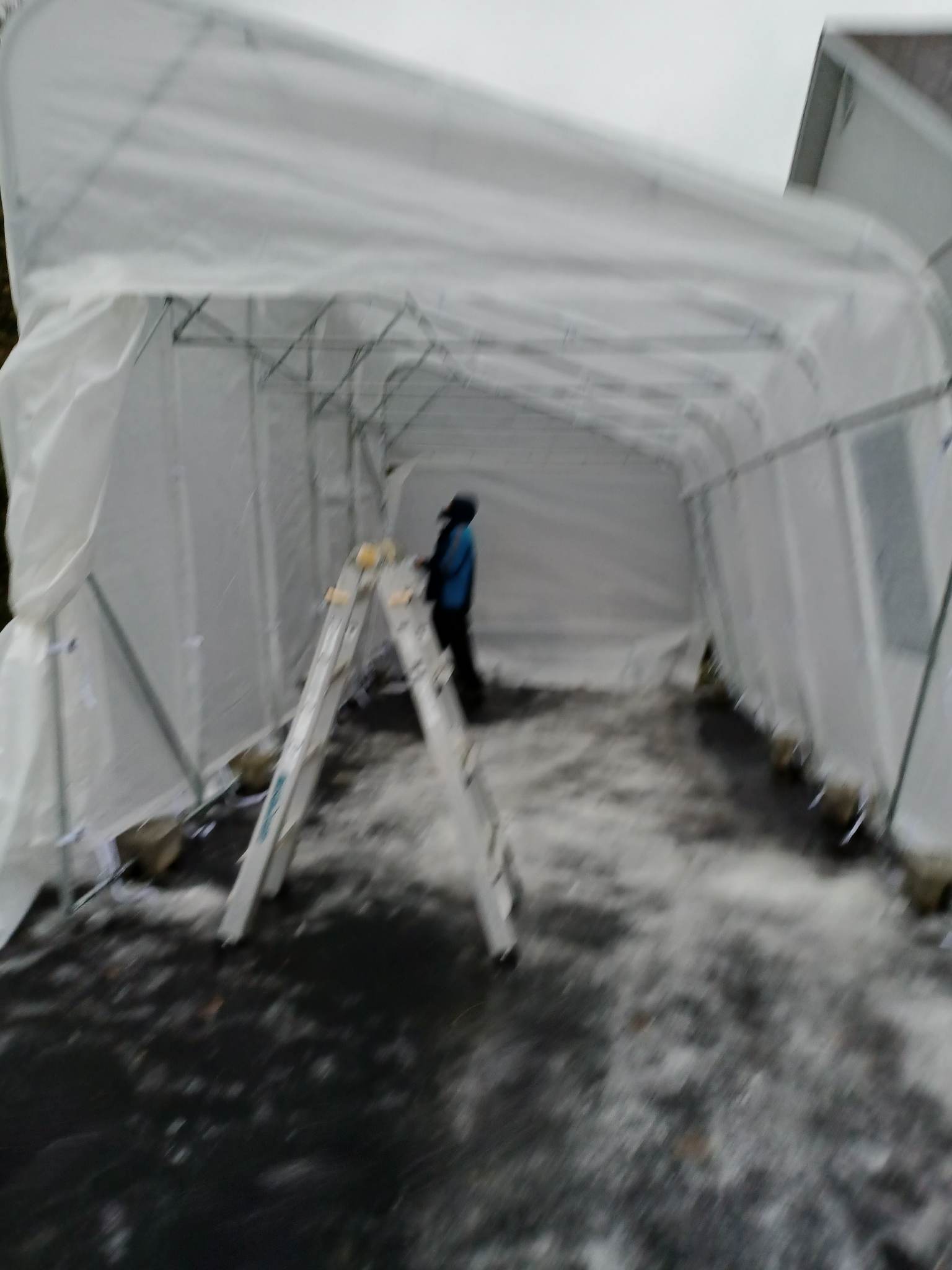 326590370_546581584163906_4332698833410573264_n